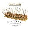 macedonian phalangistes