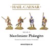 macedonian phalangistes