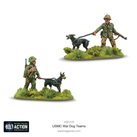 USMC war dogs teams