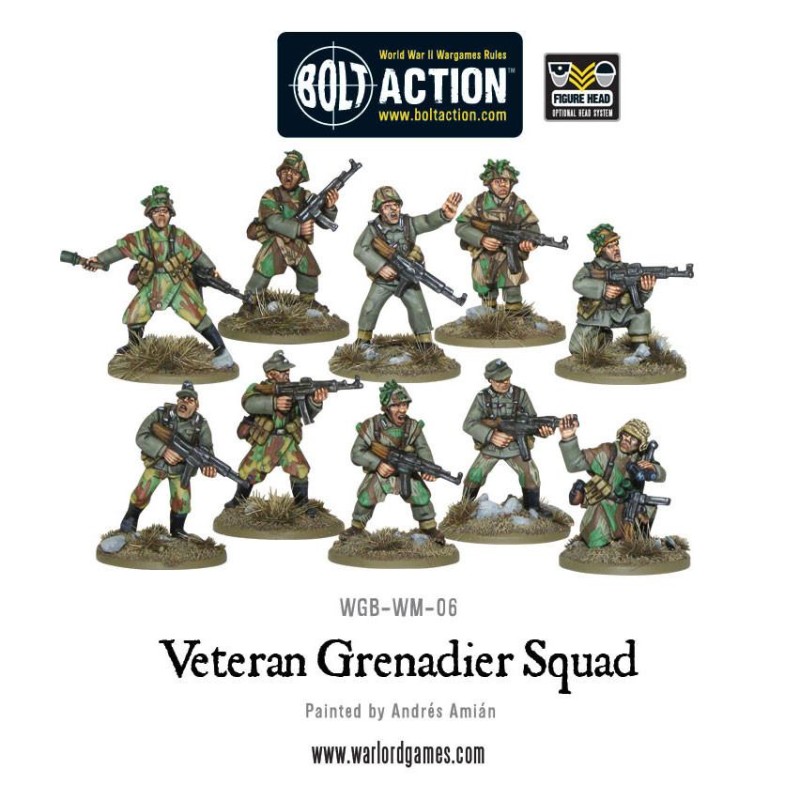 german veteran grenadier squad