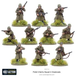 polish infantry squad in...