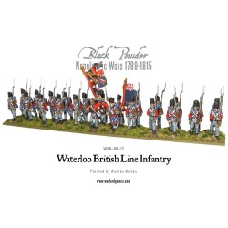 waterloo british line infantry