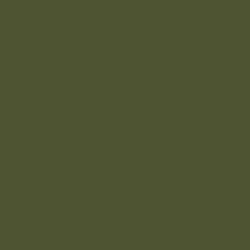 vert olive 70.967