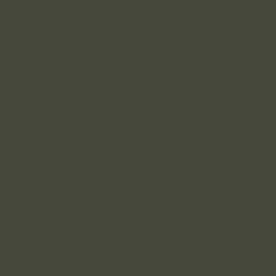 gris olive 70.888