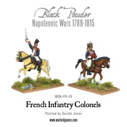 mounted napoleonic french...