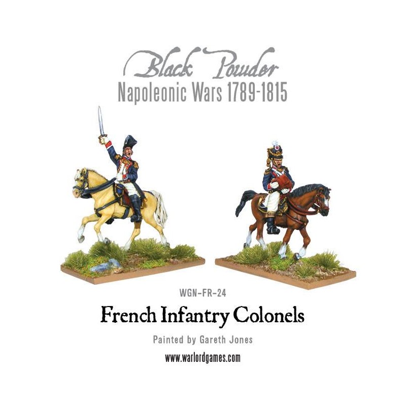 mounted napoleonic french infantry colonels