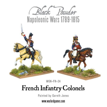 mounted napoleonic french infantry colonels