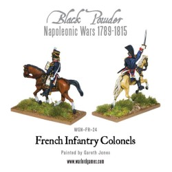 mounted napoleonic french infantry colonels