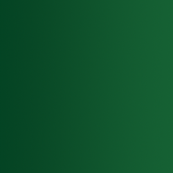 72.416 xpress color vert troll
