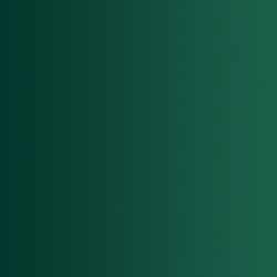 72.417 xpress color vert...