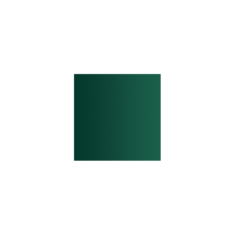 72.417 xpress color vert serpent