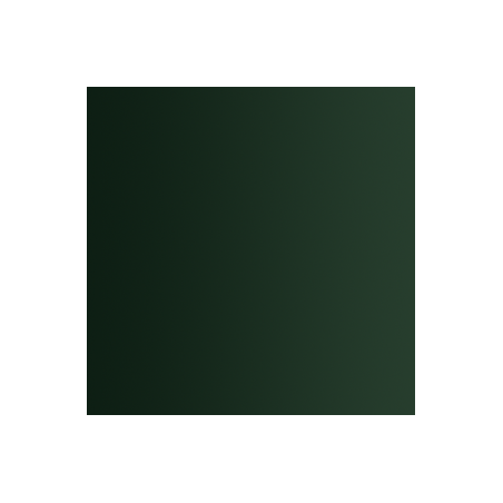 72.418 xpress color vert lézard