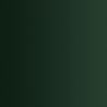 72.418 xpress color vert lézard