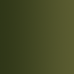 72.419 xpress color vert peste