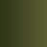 72.419 xpress color vert peste