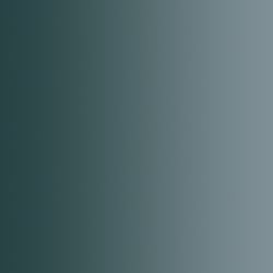 72.462 xpress color acier...