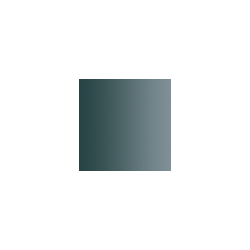 72.462 xpress color acier stellaire