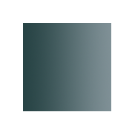 72.462 xpress color acier stellaire