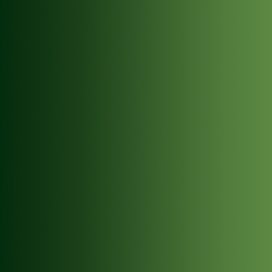 72.465 xpress color vert fôret