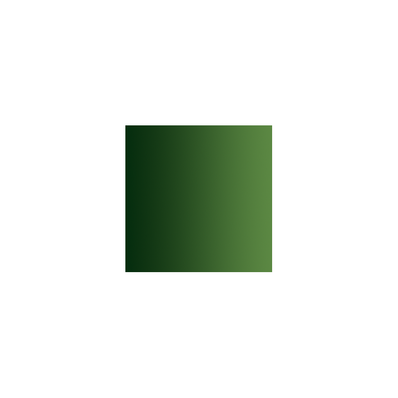 72.465 xpress color vert fôret