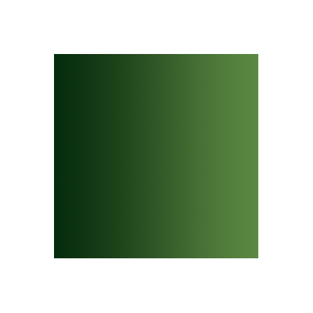72.465 xpress color vert fôret