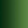 72.465 xpress color vert fôret