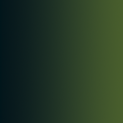 72.466 xpress color vert...