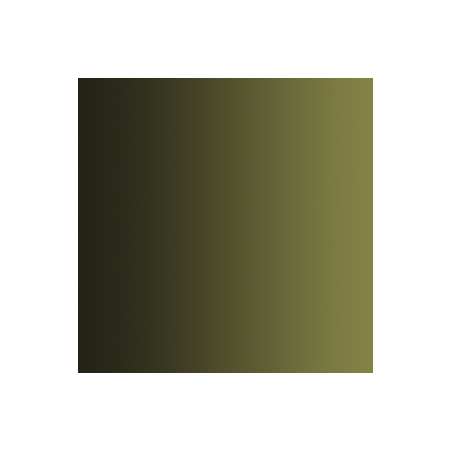 72.467 xpress color vert camouflage