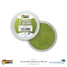summer grass