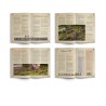 revolution rulebook