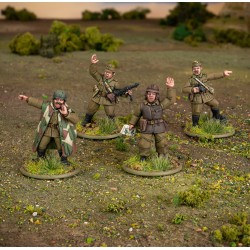 army platoon commanders