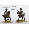 Napoleonic British Light Dragoons 1808-1815