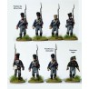 Prussian napoleonic line infantry 1813-1815