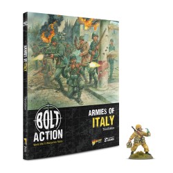 Livre Armies of Italy 2025...
