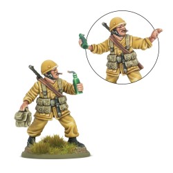 Livre Armies of Italy 2025 avec desert lighting