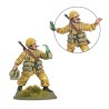 Livre Armies of Italy 2025 avec desert lighting