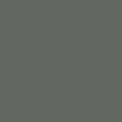 P863 gunmetal gris