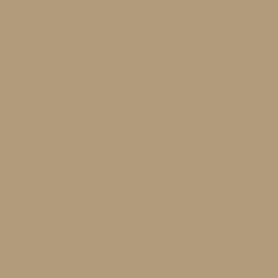 P122 desert tan 686